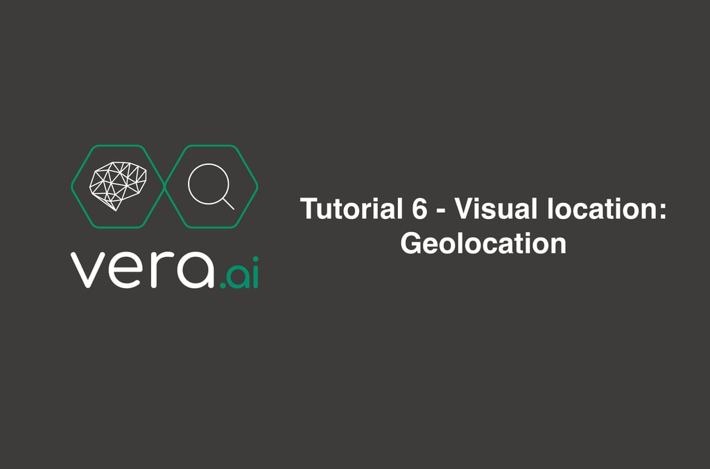 veraAI Tutorial 6: Visual geolocation